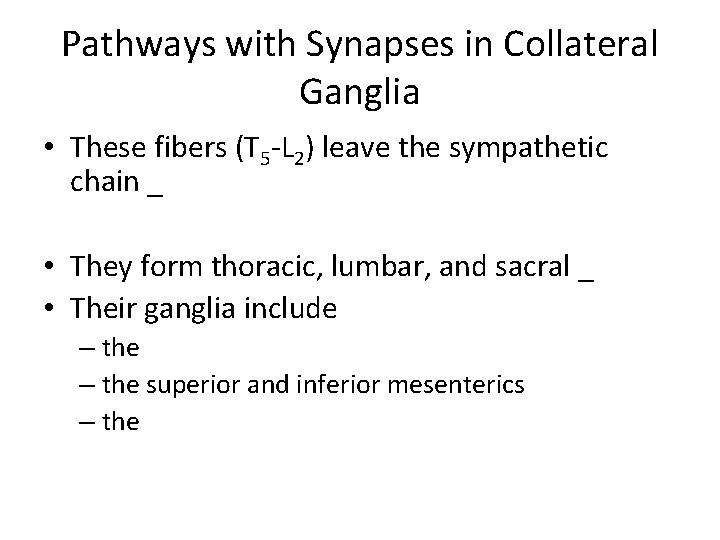 Pathways with Synapses in Collateral Ganglia • These fibers (T 5 -L 2) leave