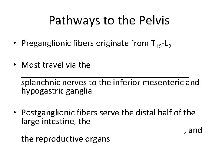 Pathways to the Pelvis • Preganglionic fibers originate from T 10 -L 2 •