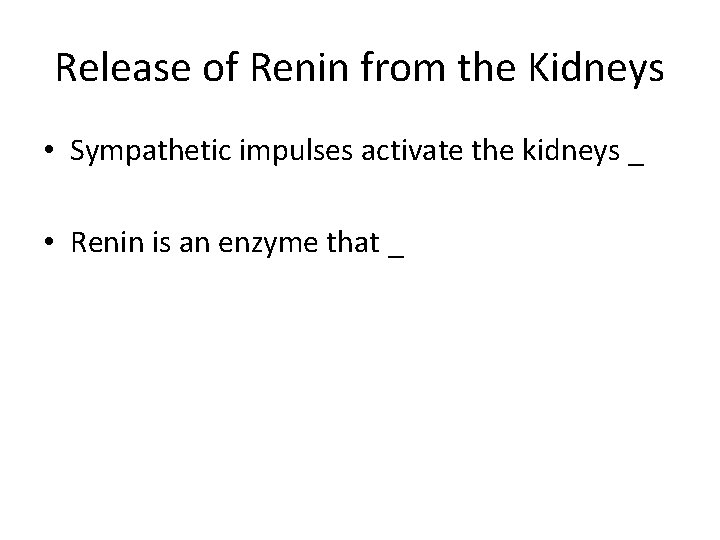 Release of Renin from the Kidneys • Sympathetic impulses activate the kidneys _ •