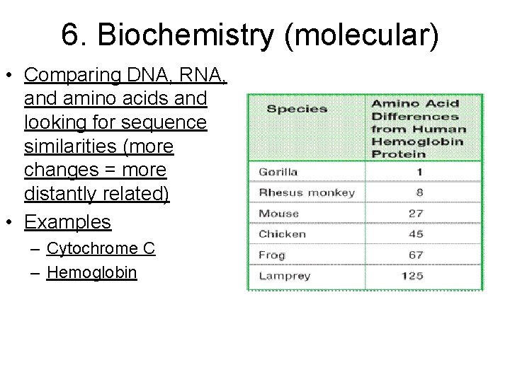 6. Biochemistry (molecular) • Comparing DNA, RNA, and amino acids and looking for sequence