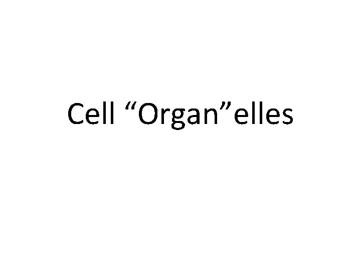 Cell “Organ”elles 