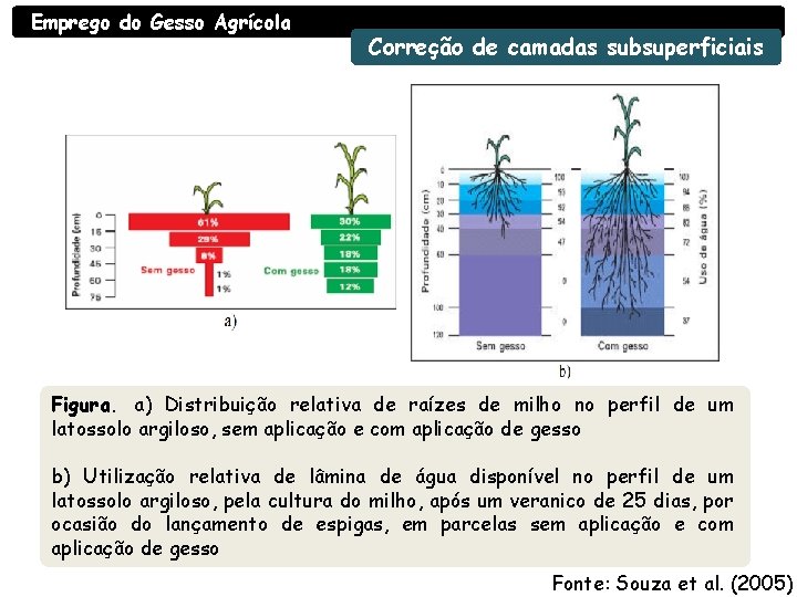 Emprego do Gesso Agrícola Correção de camadas subsuperficiais Figura. a) Distribuição relativa de raízes