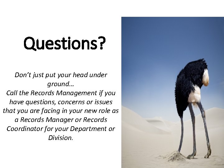 Questions? Don’t just put your head under ground… Call the Records Management if you