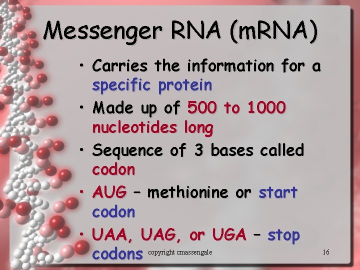 Messenger RNA (m. RNA) • Carries the information for a specific protein • Made
