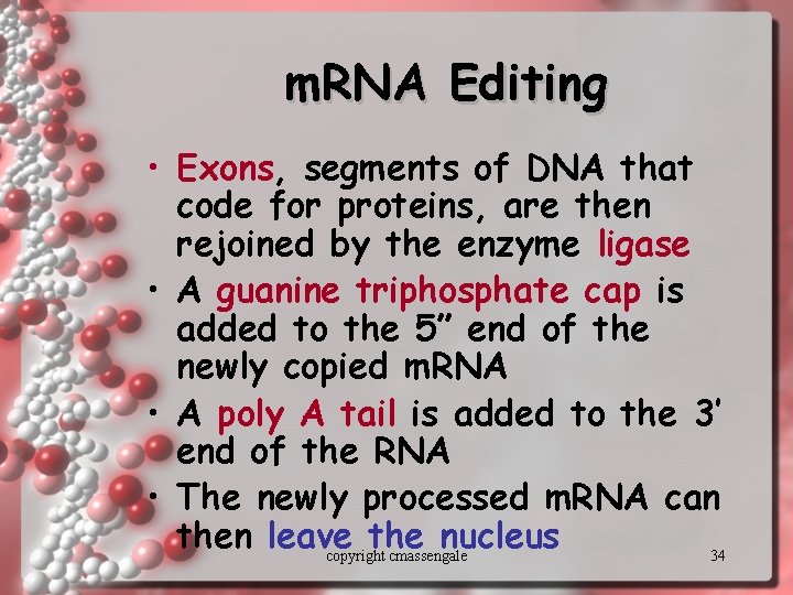 m. RNA Editing • Exons, segments of DNA that code for proteins, are then