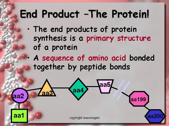 End Product –The Protein! • The end products of protein synthesis is a primary