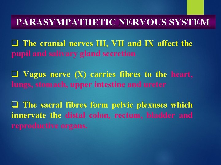 PARASYMPATHETIC NERVOUS SYSTEM q The cranial nerves III, VII and IX affect the pupil PARASYMPATHETIC NERVOUS SYSTEM q The cranial nerves III, VII and IX affect the pupil