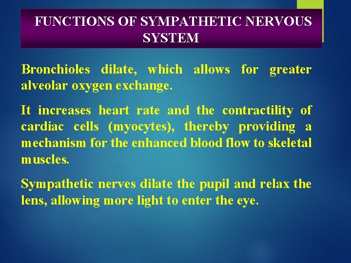 FUNCTIONS OF SYMPATHETIC NERVOUS SYSTEM Bronchioles dilate, which allows for greater alveolar oxygen exchange.