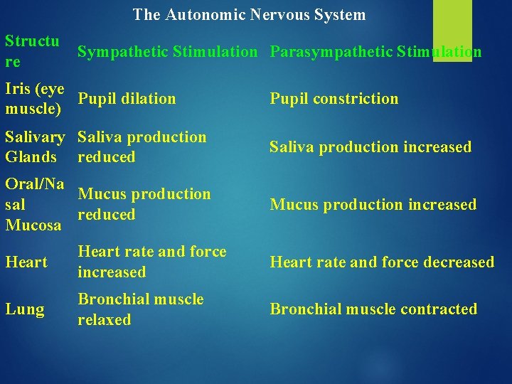 The Autonomic Nervous System Structu re Sympathetic Stimulation Parasympathetic Stimulation Iris (eye Pupil dilation The Autonomic Nervous System Structu re Sympathetic Stimulation Parasympathetic Stimulation Iris (eye Pupil dilation