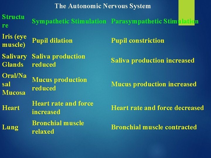 The Autonomic Nervous System Structu re Sympathetic Stimulation Parasympathetic Stimulation Iris (eye Pupil dilation