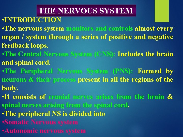 THE NERVOUS SYSTEM • INTRODUCTION • The nervous system monitors and controls almost every