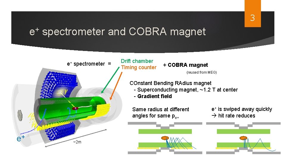 3 e+ spectrometer and COBRA magnet e+ spectrometer = Drift chamber Timing counter +