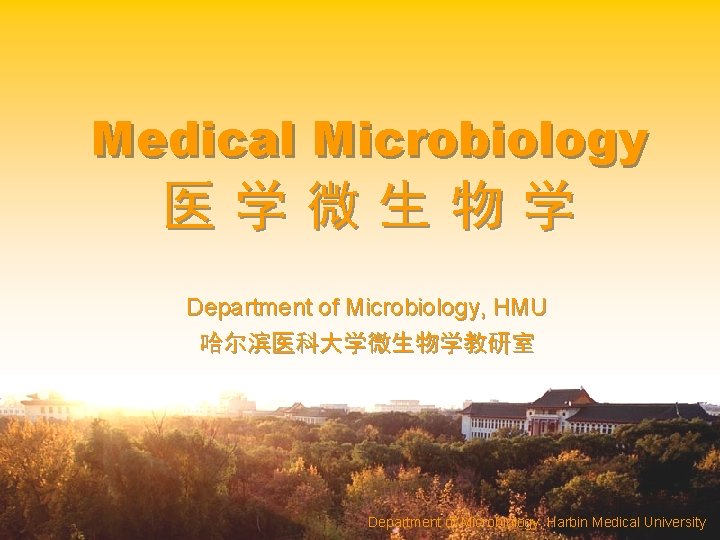 Medical Microbiology 医学微生物学 Department of Microbiology, HMU 哈尔滨医科大学微生物学教研室 Department of of Microbiology, Harbin Medical