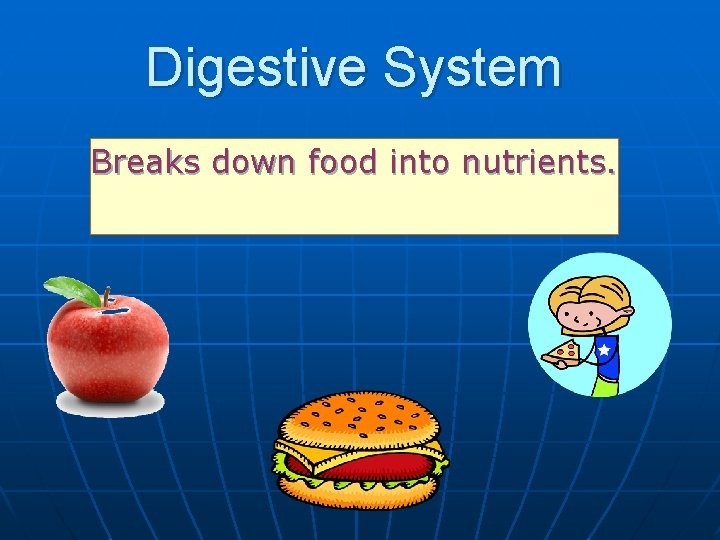 Digestive System Breaks down food into nutrients. 