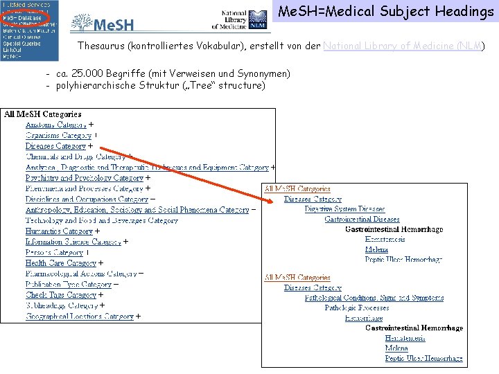 Me. SH=Medical Subject Headings Thesaurus (kontrolliertes Vokabular), erstellt von der National Library of Medicine