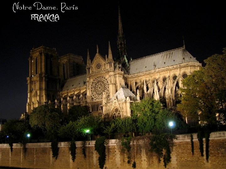 Notre Dame. París FRANCIA 