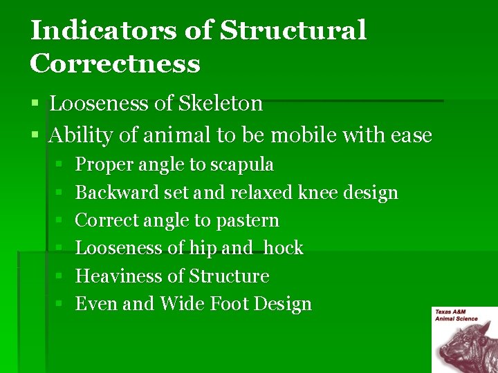 Indicators of Structural Correctness § Looseness of Skeleton § Ability of animal to be