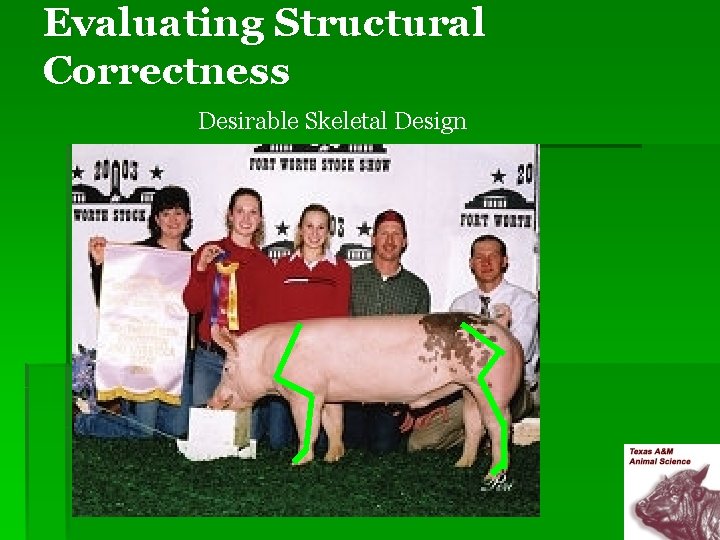 Evaluating Structural Correctness Desirable Skeletal Design 
