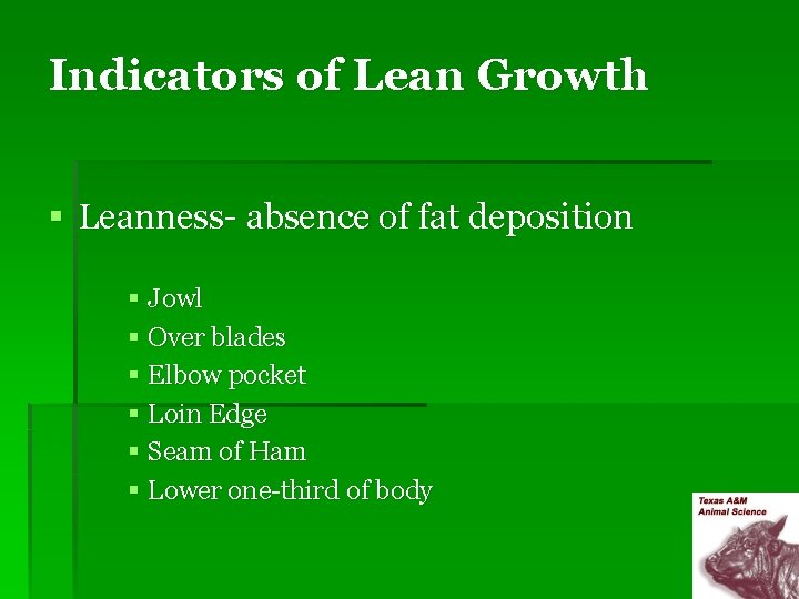 Indicators of Lean Growth § Leanness- absence of fat deposition § Jowl § Over