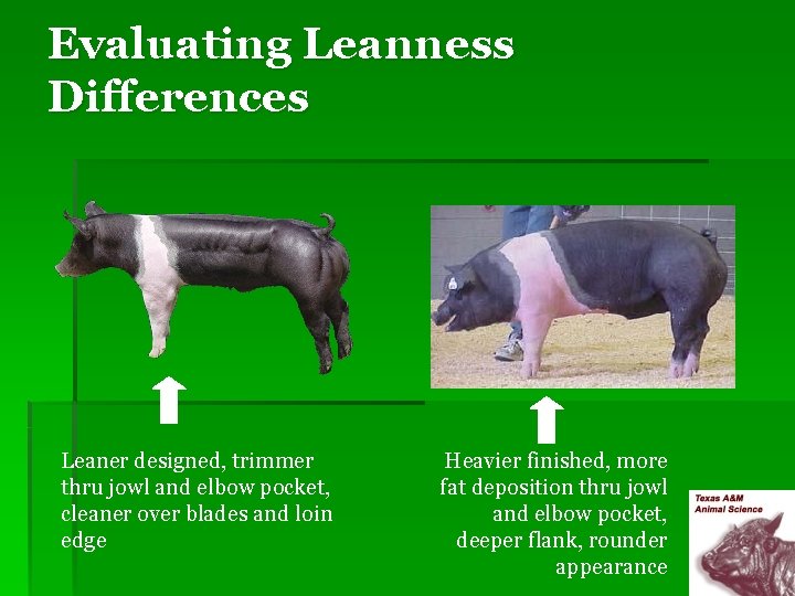 Evaluating Leanness Differences Leaner designed, trimmer thru jowl and elbow pocket, cleaner over blades