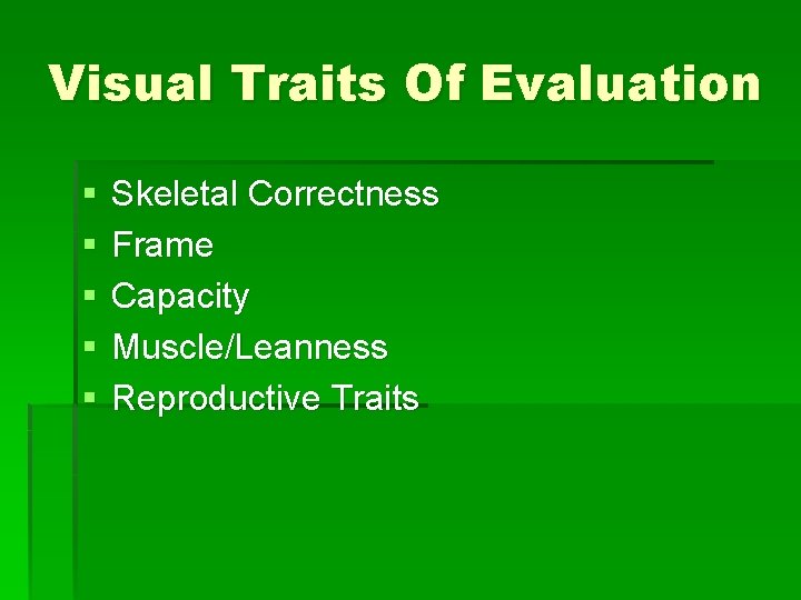 Visual Traits Of Evaluation § § § Skeletal Correctness Frame Capacity Muscle/Leanness Reproductive Traits