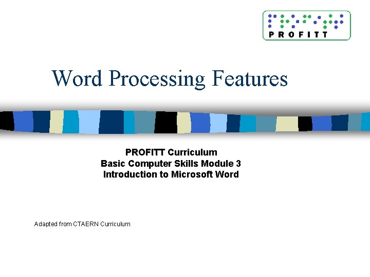 Word Processing Features PROFITT Curriculum Basic Computer Skills Module 3 Introduction to Microsoft Word