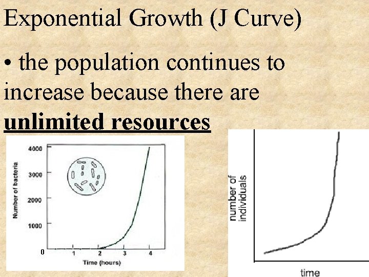 Exponential Growth (J Curve) • the population continues to increase because there are unlimited Exponential Growth (J Curve) • the population continues to increase because there are unlimited