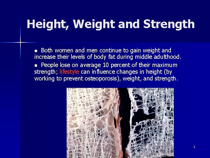 Height, Weight and Strength Both women and men continue to gain weight and increase
