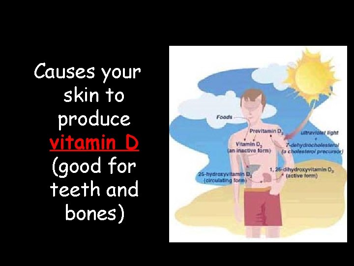 Causes your skin to produce vitamin D (good for teeth and bones) Causes your skin to produce vitamin D (good for teeth and bones)
