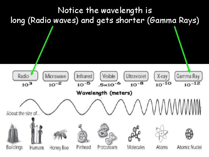 Notice the wavelength is long (Radio waves) and gets shorter (Gamma Rays) Notice the wavelength is long (Radio waves) and gets shorter (Gamma Rays)