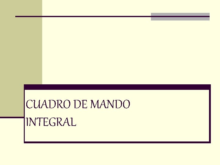 CUADRO DE MANDO INTEGRAL 