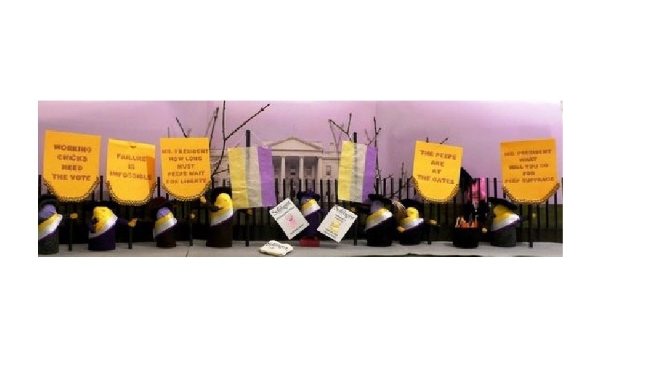 Civil Rights Projects Civil Rights Projects for Honors