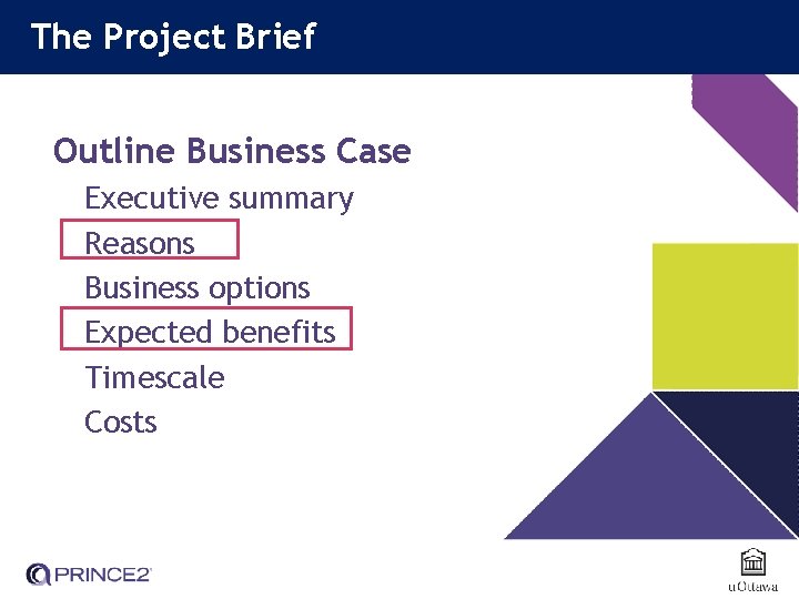 The Project Brief Outline Business Case Executive summary Reasons Business options Expected benefits Timescale