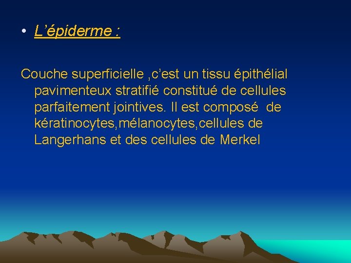  • L’épiderme : Couche superficielle , c’est un tissu épithélial pavimenteux stratifié constitué