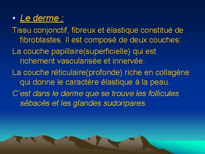  • Le derme : Tissu conjonctif, fibreux et élastique constitué de fibroblastes. Il
