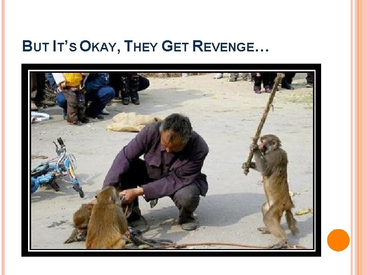 BUT IT’S OKAY, THEY GET REVENGE… 