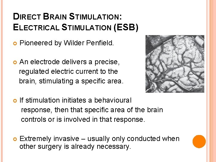 DIRECT BRAIN STIMULATION: ELECTRICAL STIMULATION (ESB) Pioneered by Wilder Penfield. An electrode delivers a
