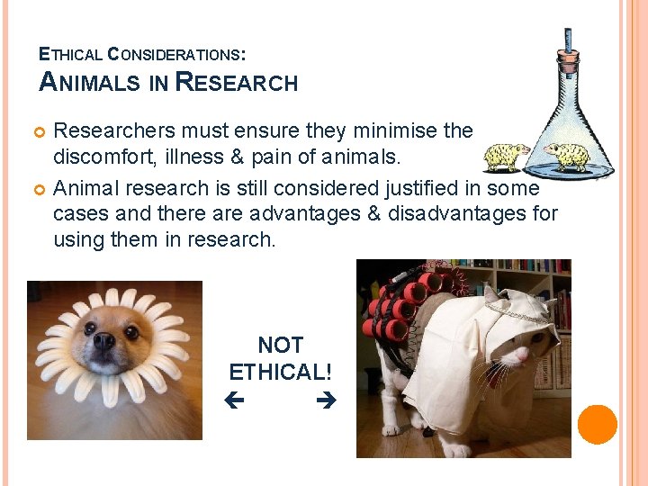 ETHICAL CONSIDERATIONS: ANIMALS IN RESEARCH Researchers must ensure they minimise the discomfort, illness &