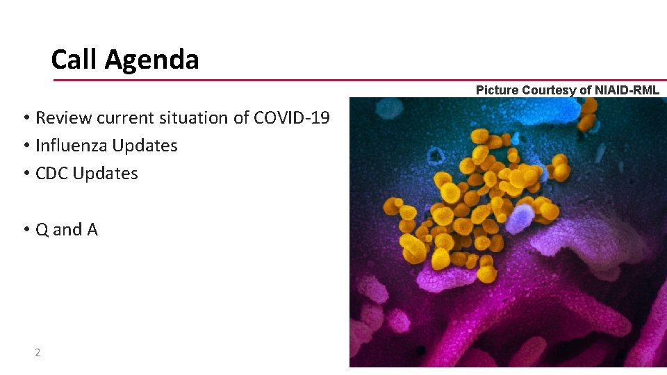 Call Agenda Picture Courtesy of NIAID-RML • Review current situation of COVID-19 • Influenza