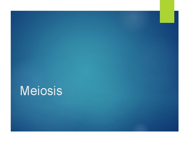 Meiosis 