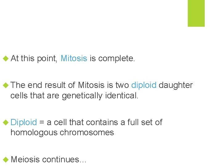  At this point, Mitosis is complete. The end result of Mitosis is two