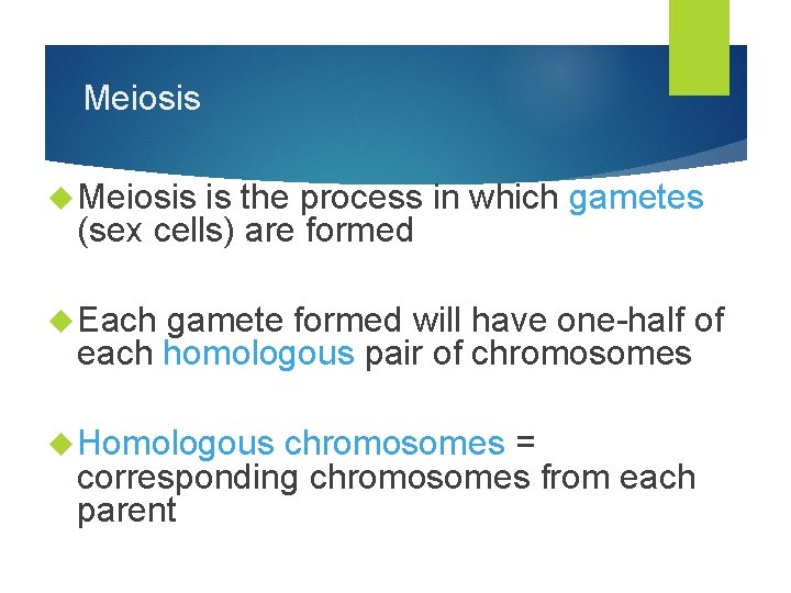 Meiosis is the process in which gametes (sex cells) are formed Each gamete formed