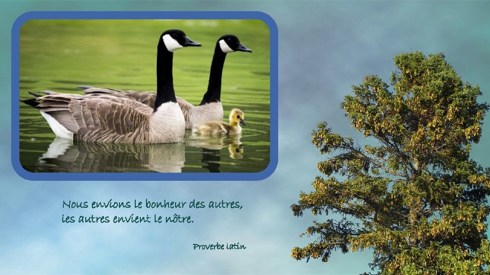 Nous envions le bonheur des autres, les autres envient le nôtre. Proverbe latin 