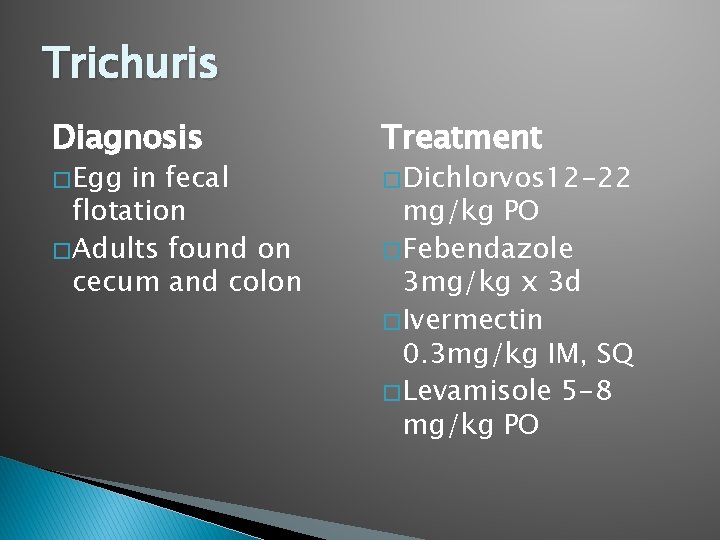 Trichuris Diagnosis � Egg in fecal flotation � Adults found on cecum and colon
