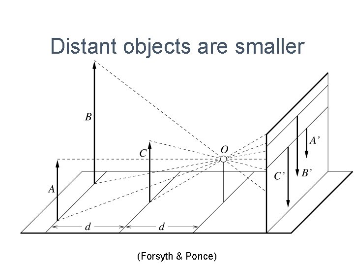 Distant objects are smaller (Forsyth & Ponce) 