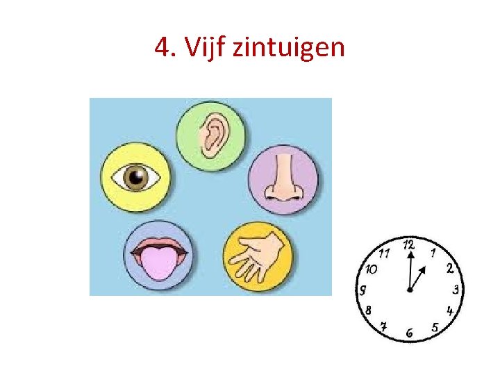 4. Vijf zintuigen 