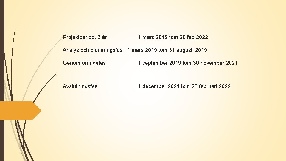 Projektperiod, 3 år 1 mars 2019 tom 28 feb 2022 Analys och planeringsfas 1