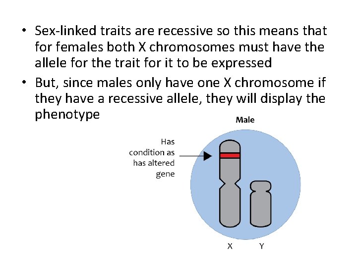  • Sex-linked traits are recessive so this means that for females both X