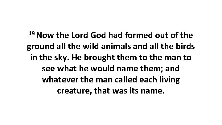 19 Now the Lord God had formed out of the ground all the wild