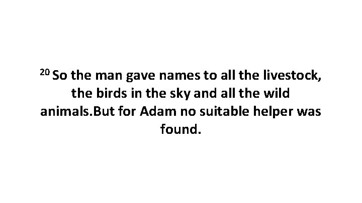 20 So the man gave names to all the livestock, the birds in the